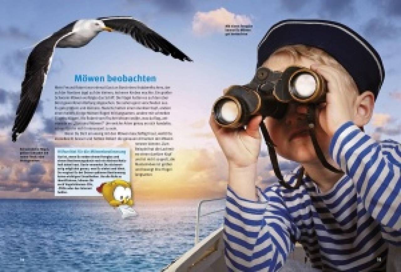Entdecke die Möwen